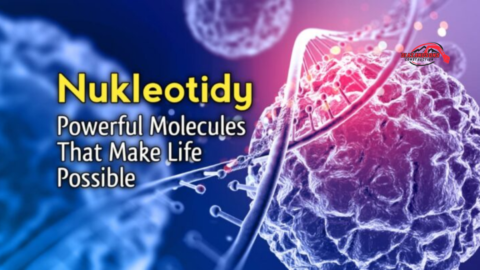 nukleotidy: The Tiny Building Blocks That Shape Life nukleotidy